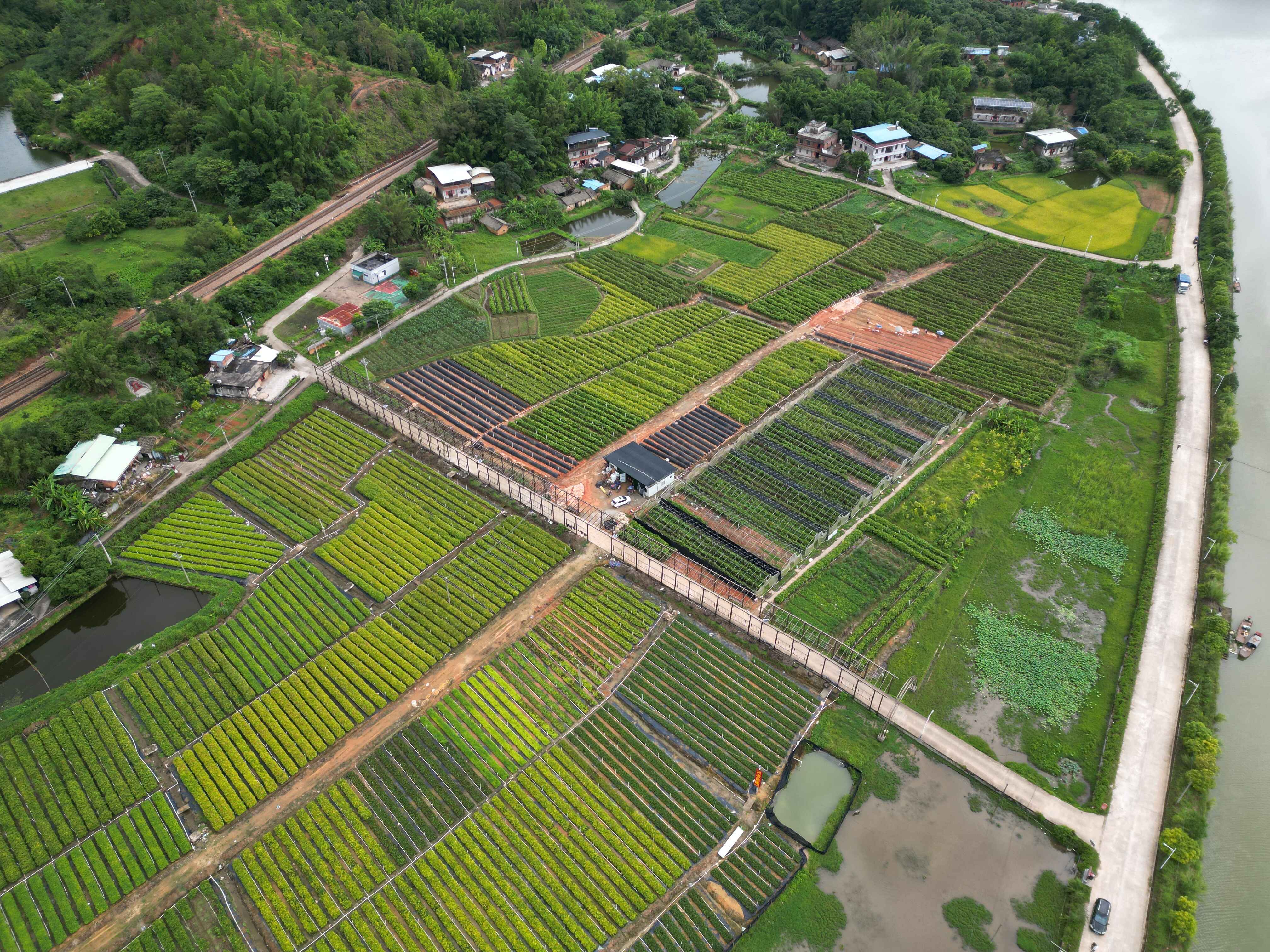 林木种苗基地网络(通讯员供图)