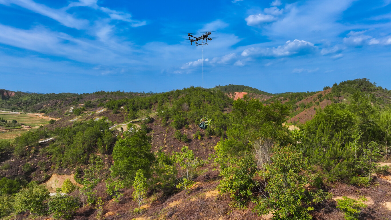无人机搬苗(通讯员供图)