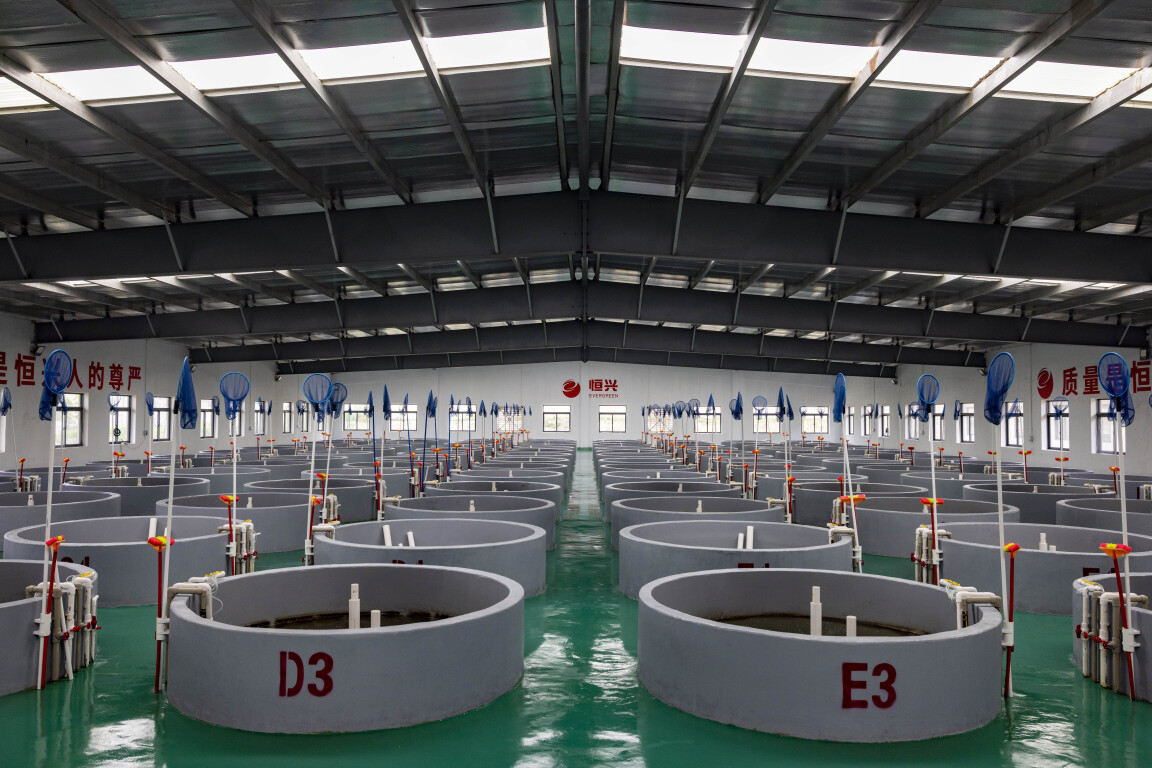 863基地中的水产苗种场。南方日报记者 梁钜聪 摄