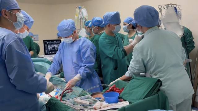 手术现场,ECMO管路顺利置管上机。 手术现场,ECMO管路顺利置管上机。