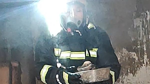 阳江民房起火无人被困，消防员清理现场救出一窝小狗丨暖心画