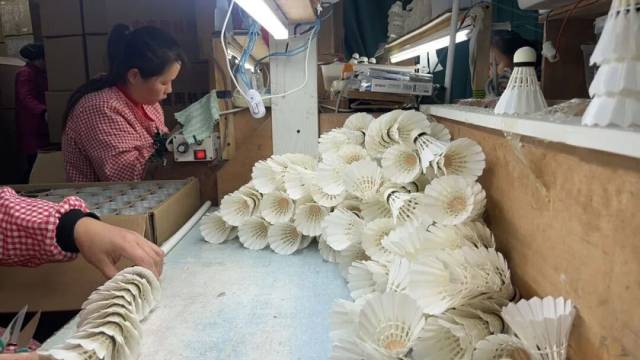 ▲2026年1月12日，叶光兴的工厂内，工人们正在包装羽毛球制成品 图/受访者提供