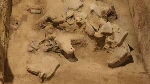 秦兵马俑考古新发现：二号坑发掘出土两乘战车