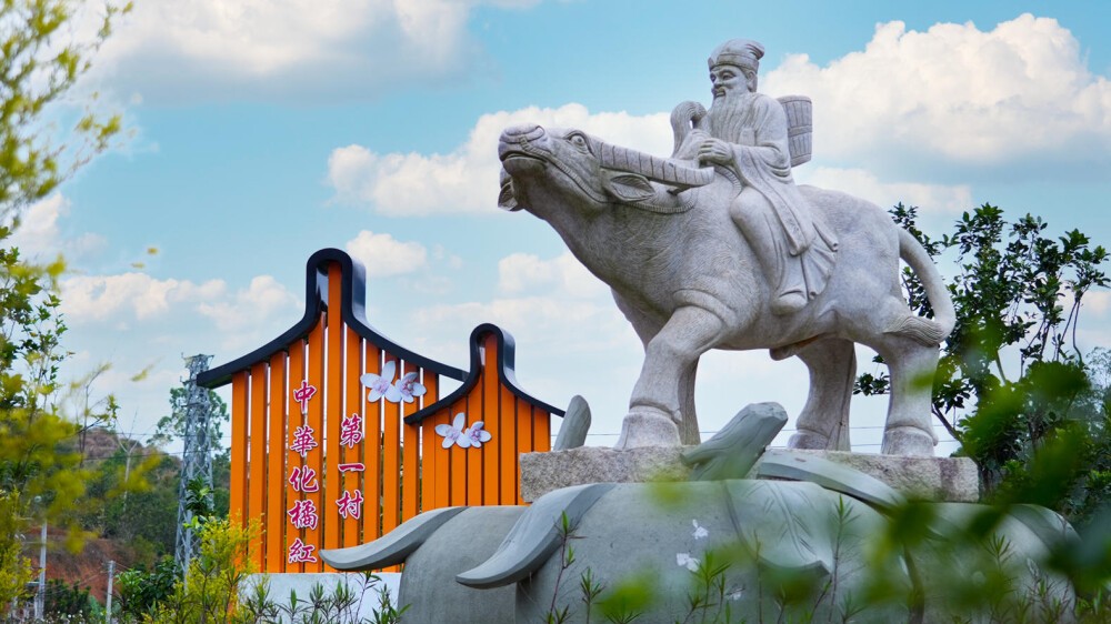 Centuries-old Huajuhong farming system in Maoming nominated for China's Agri-Heritage List