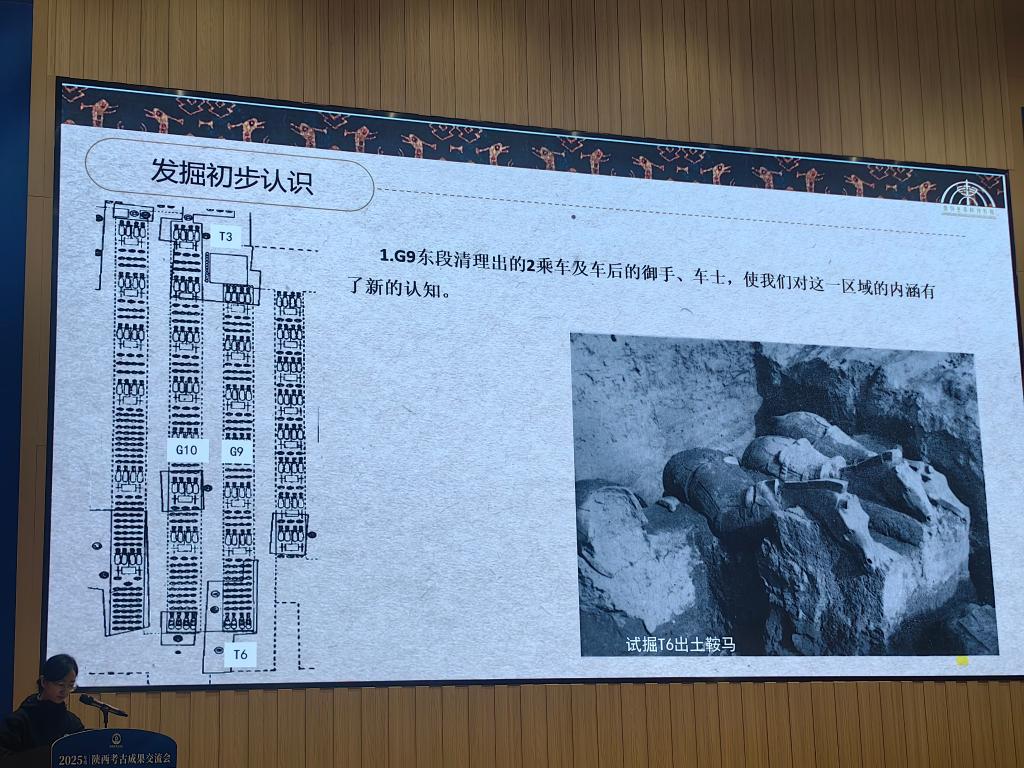 这是2025年度陕西考古成果交流会秦兵马俑二号坑考古发掘成果交流现场。新华社记者 张思洁 摄