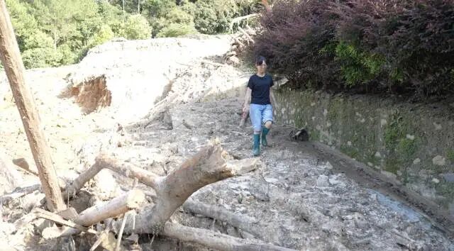 广东好人丨刘名芳：雨夜里“教科书式”避险，救下57人