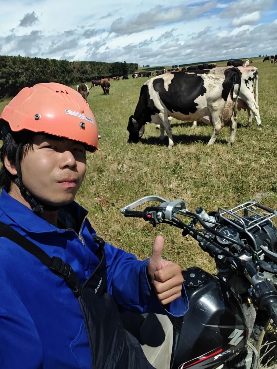 新西兰牧场工作现场,何赛正在进行挤奶和除草。受访者供图。