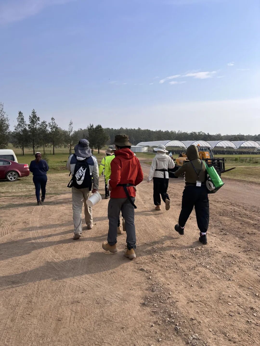 蓝莓农场采摘现场,与陆皓月和陈青青一同工作的年轻人来自不同国家和地区。受访者供图。