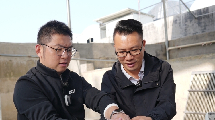 回访清远阳山沙陂村：“金”鳗鱼如何“游”出致富路｜珏察