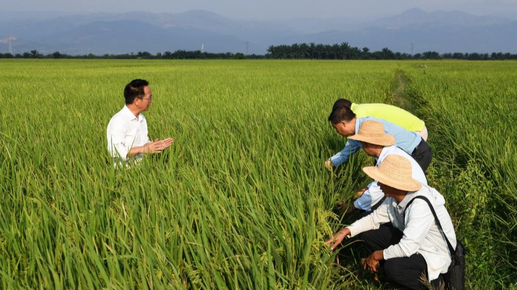 惠民生　利天下——“一带一路”中的人民至上理念