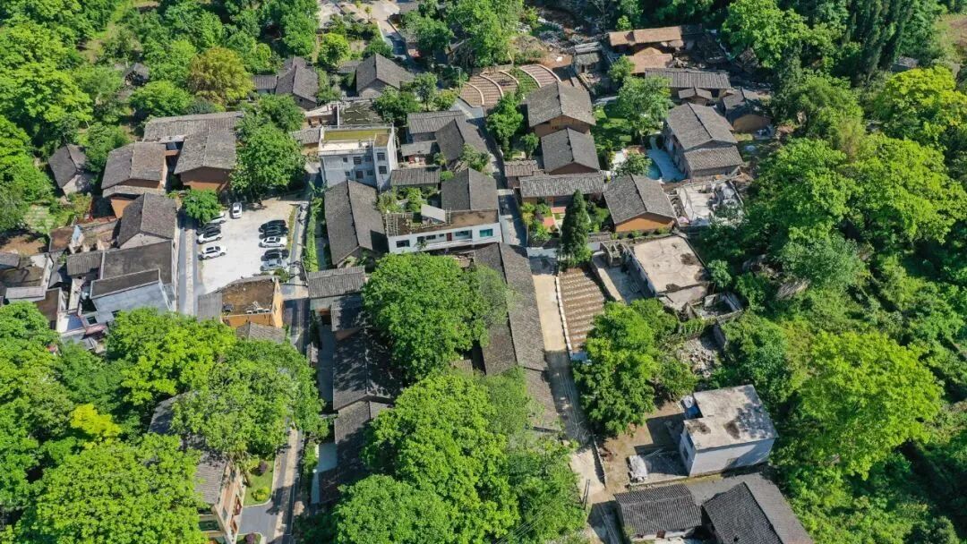 “纳具·和园”康养小镇 刘朝富 摄