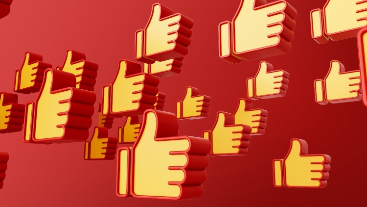 点赞！广东36家全省性社会组织获评5A级