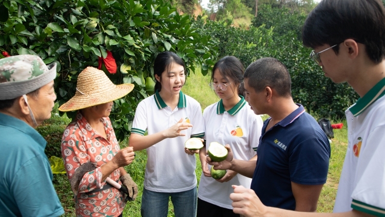 广东省教育厅：“双向发力”为县域振兴注入教育动能