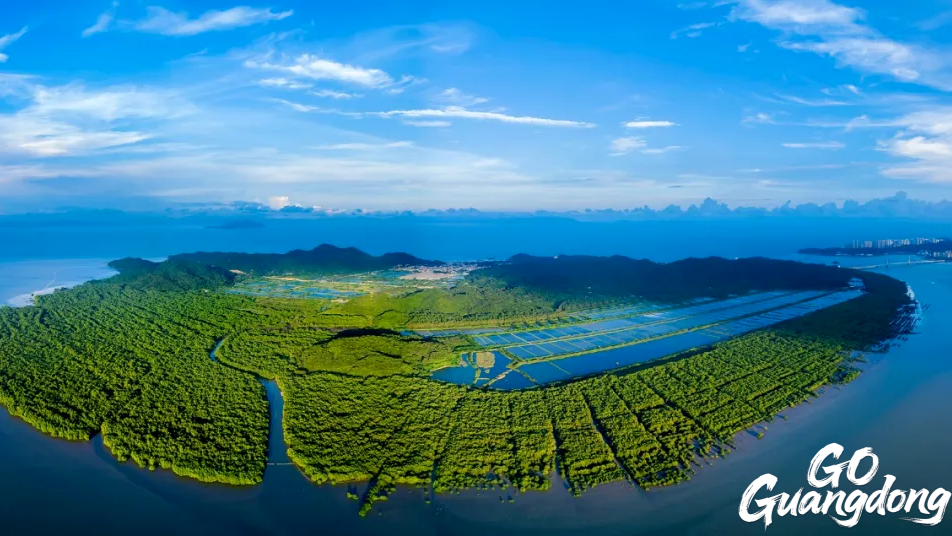 Qi'ao Island, an ecological island accessible without taking a boat