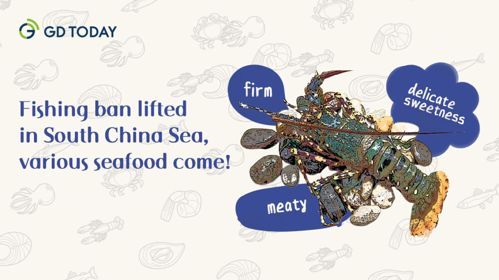 Fishing ban lifted in South China Sea, various seafood come!